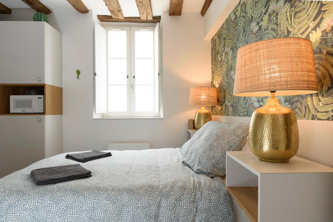 La Lirosane, 3 Studios, 3,7Km Du Zoo, Centre-Ville Saint-Aignan  Zewnętrze zdjęcie
